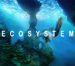 Ecosystem